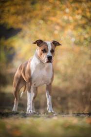 Emilly z České Kréty