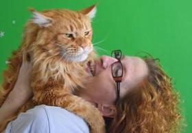 DE*Pownee´s I am The Boss