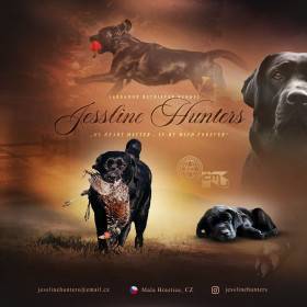 Jessline Hunters Labrador Kennel