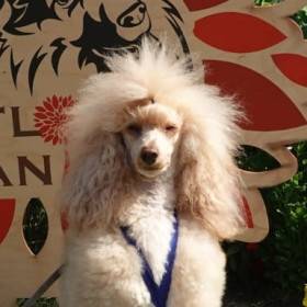 Z Porubského údolí