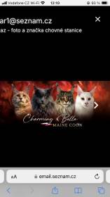 Charming Bella.cz
