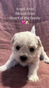 fenečka narozená 15.5.2025