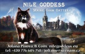 Nile Goddess, cz