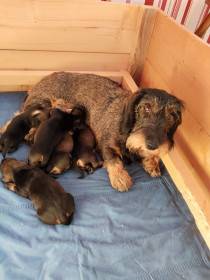 Z Tmaňského pomezí