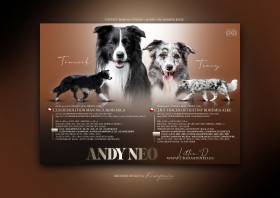 vrh D Tonicek a Tracy