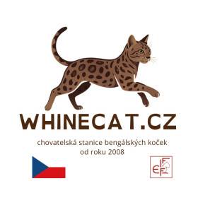 Whinecat.CZ