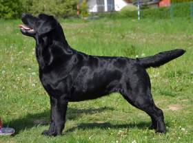 Key of Knowledge Tetřeví dvůr