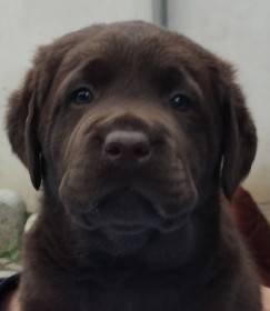 Oportunity foe Ovations Tetřeví dvůr