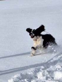 Z Puchlovických lánů