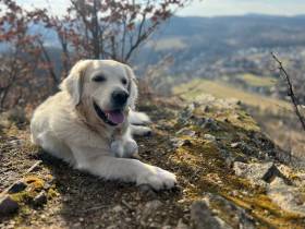 Z Chrustenických kopců