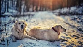 Z Chrustenických kopců