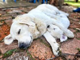 Z Chrustenických kopců