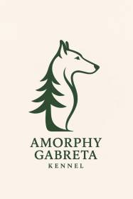Amorphy Gabreta