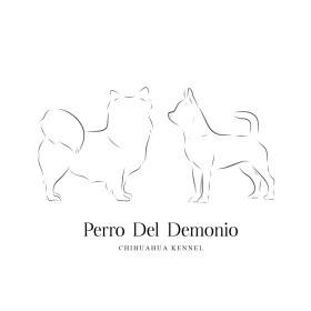 Perro Del Demonio
