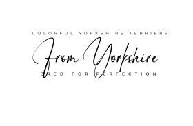 From Yorkshire