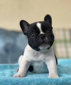 Z Malinové stráně