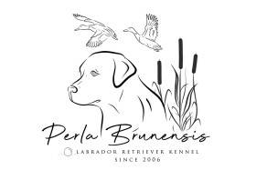 Perla Brunensis