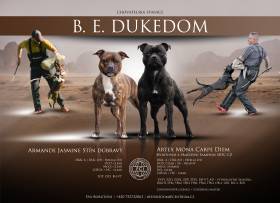 B.e. Dukedom
