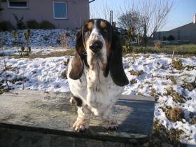 Klenovská Dolní Pec