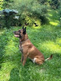 Salvatore Spektare Bohemia