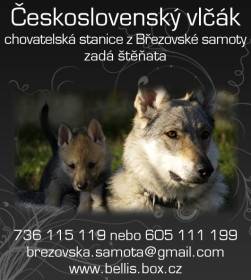 Z Březovské samoty