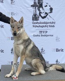 Z Březovské samoty