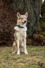 Z Březovské samoty