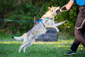 Z Březovské samoty