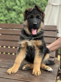 Stěžovská zahrada