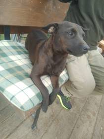 Pod Skalskou věží