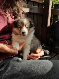 Z Benešovské zahrady