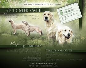 Z Akátového světa