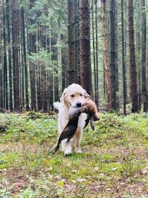 Z Akátového světa