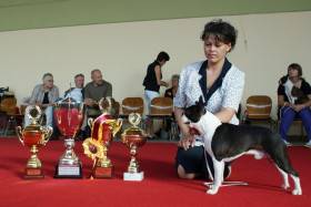 zakladatel nášho chovu,2x Svet.Víťaz,EU Víťaz,Klub Champion,Champion SK,HU,ČR,Inter Ch.AX Dagbej