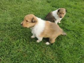 Z pekla z orlických hor