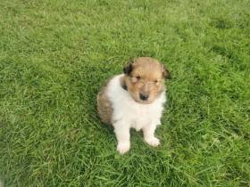 Z pekla z orlických hor