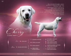 Candy from Spolsky Dvur