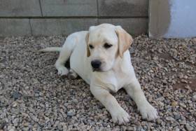 Pod Žerčickým kostelem