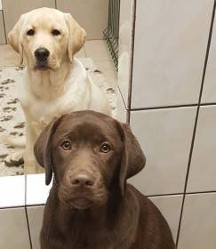 Pod Žerčickým kostelem