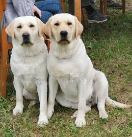 Pod Žerčickým kostelem