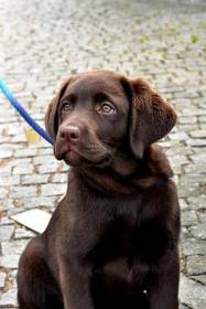 Pod Žerčickým kostelem