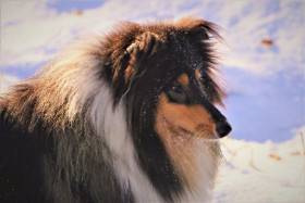 Hashtag Fellow of eternity