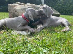 From Schwarzenberg park CZ