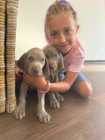 From Schwarzenberg park CZ