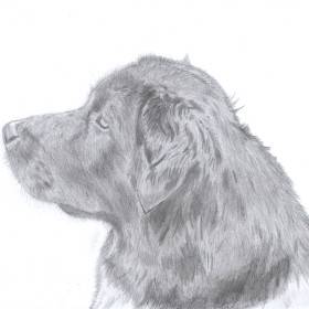 Severozápadní cesta