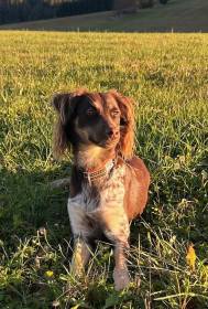 Z Veverského podhradí