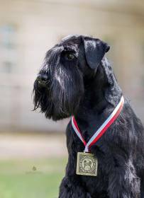 Grand calvera f. c. i.