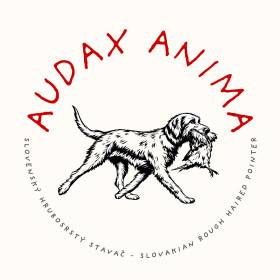 Audax Anima