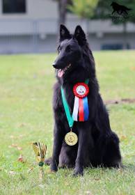 JCh.Cute Black Vampire Terangro Royal