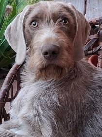 Pod Nahorubskou hůrkou